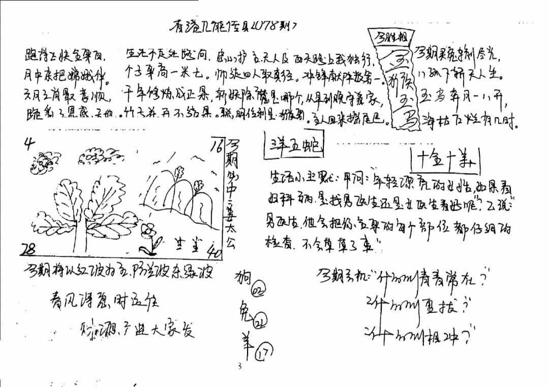 六合彩078期手写九龙内幕(早图)(黑白)