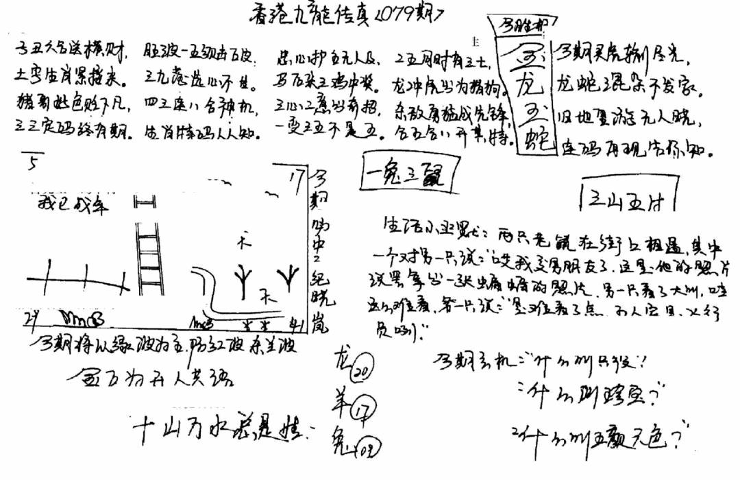 六合彩079期手写九龙内幕(早图)(黑白)