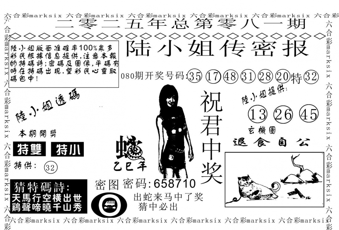 六合彩081期陆小姐传密A(黑白)