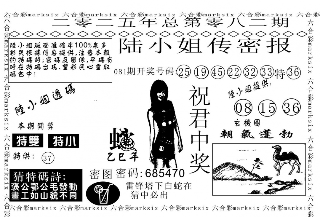 六合彩082期陆小姐传密A(黑白)