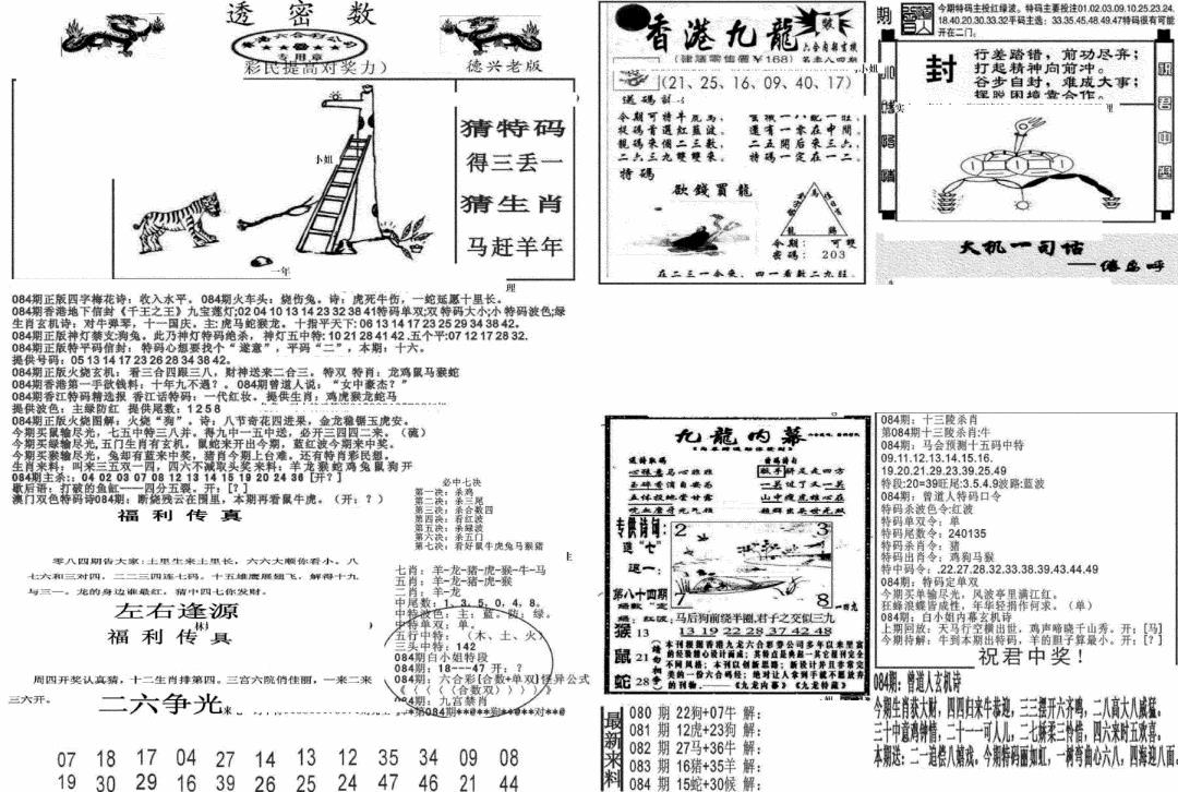 六合彩084期新透密数A(新)(黑白)
