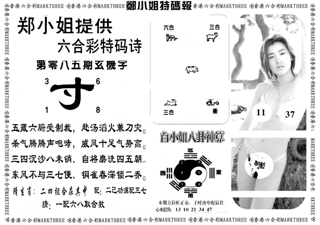 六合彩085期郑小姐特码报B(黑白)