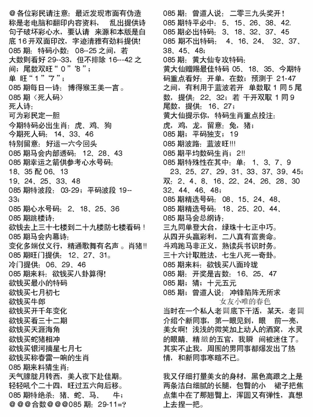六合彩085期当日电脑综合资料B(黑白)