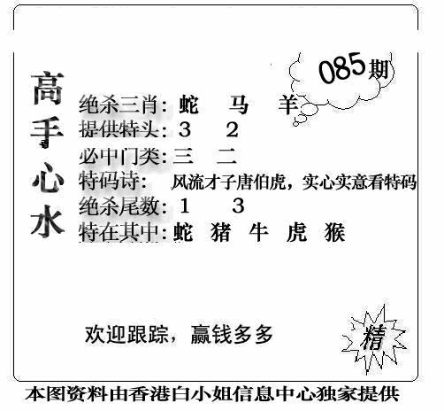 六合彩085期老曾道人攻略(黑白)