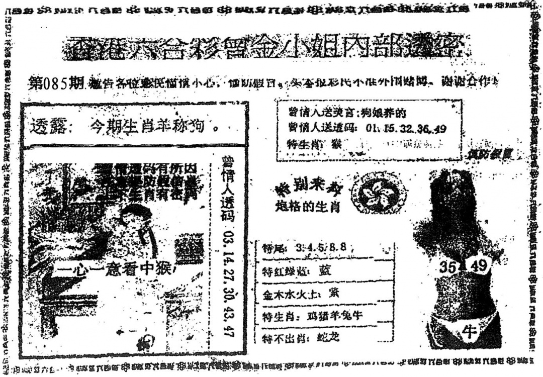 六合彩085期曾金小姐A(黑白)
