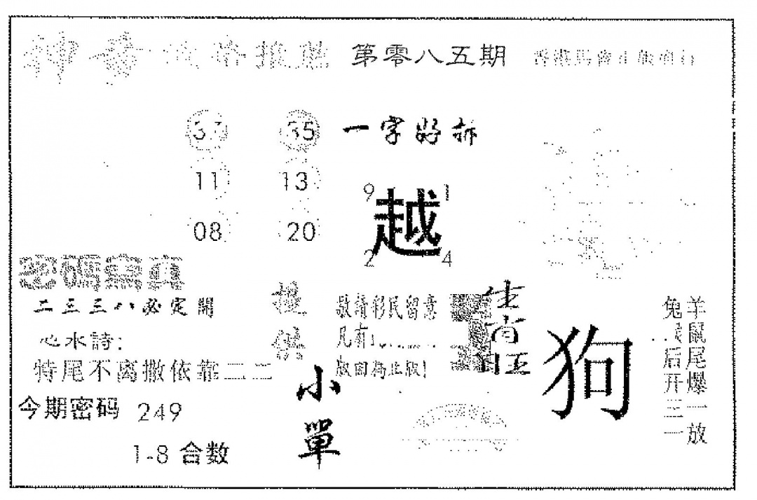 六合彩085期神童(黑白)