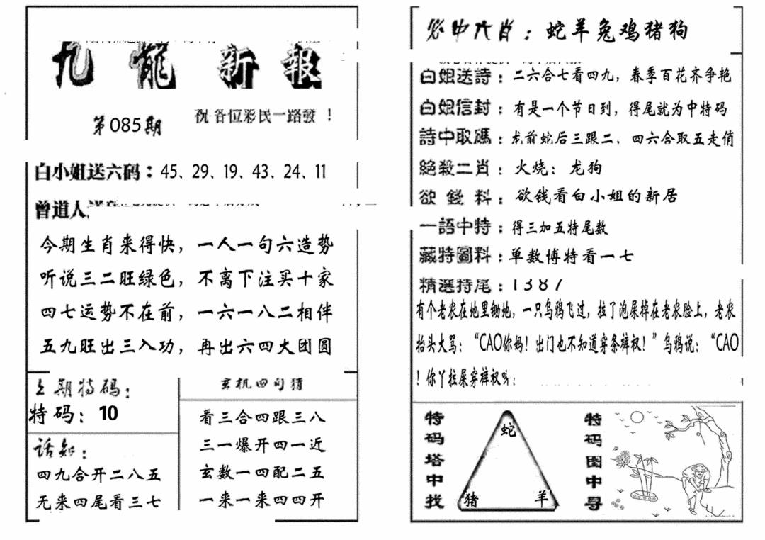六合彩085期九龙新报(生肖版)(黑白)