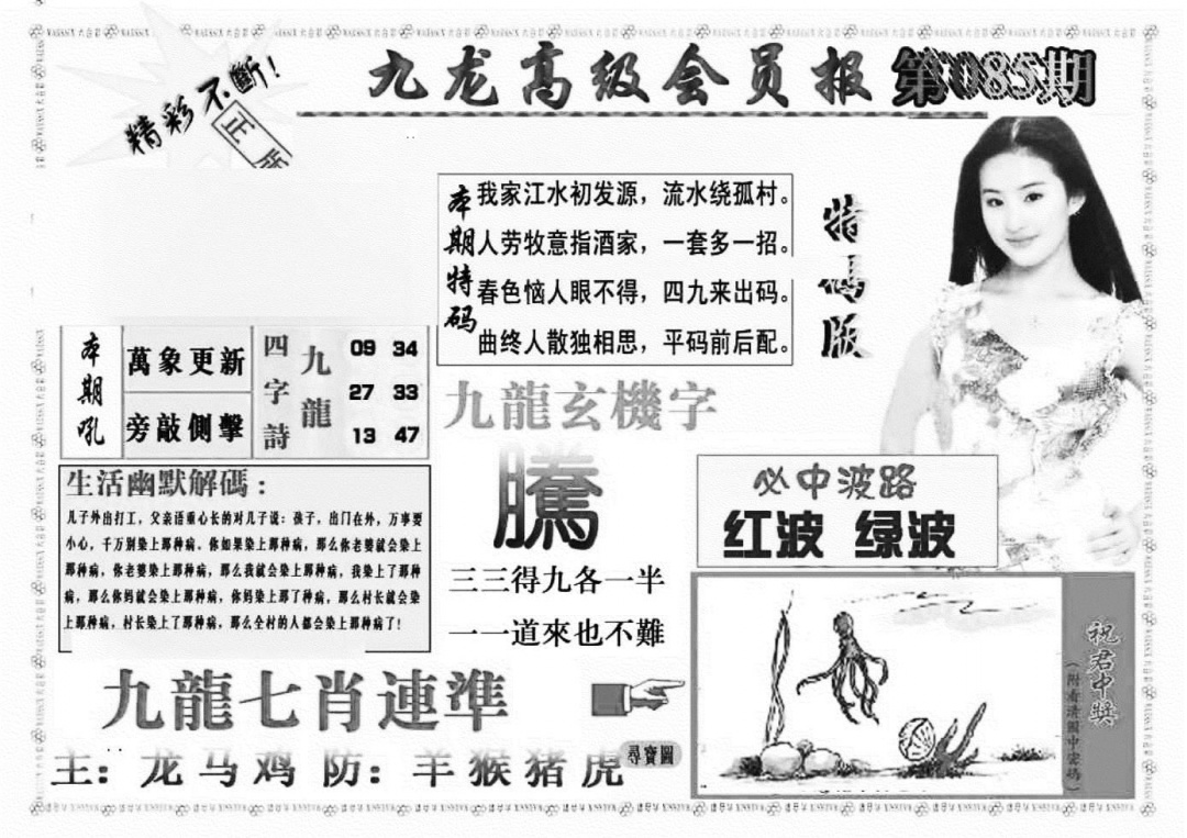 六合彩085期九龙高级会员报(新图)(黑白)