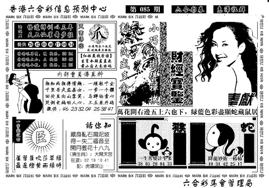 六合彩085期诸葛财经宝鉴(新)(黑白)