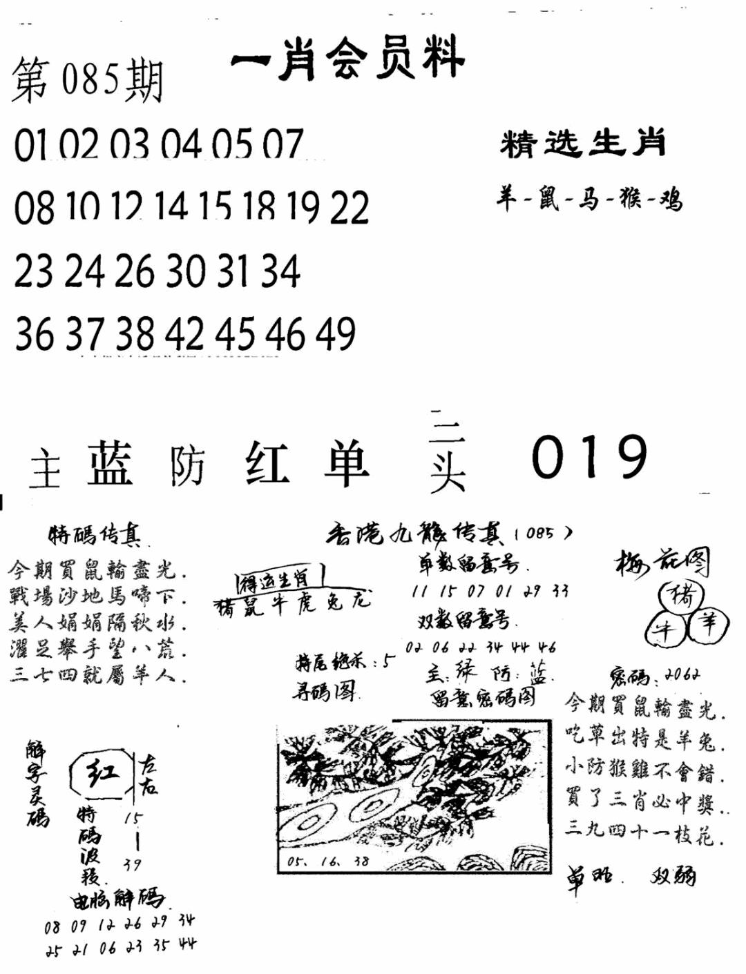 六合彩085期一肖会员料(黑白)
