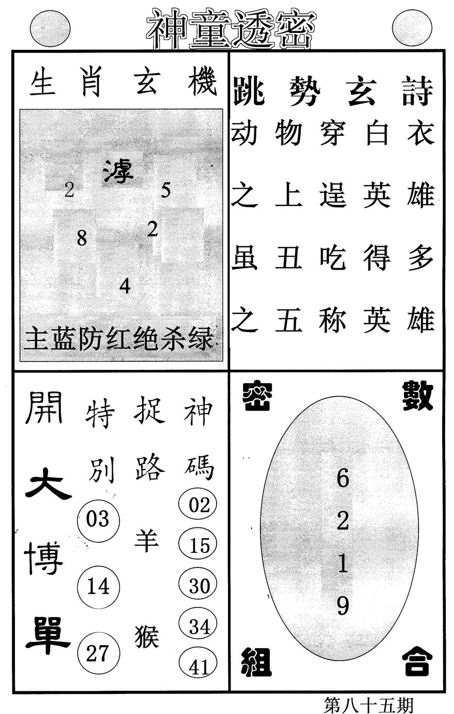 六合彩085期神童透密(黑白)