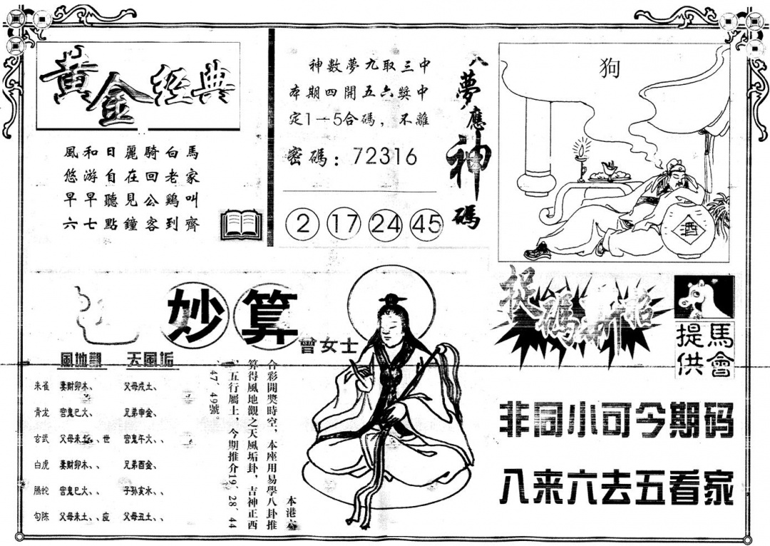 六合彩085期另版老版曾女士B(黑白)
