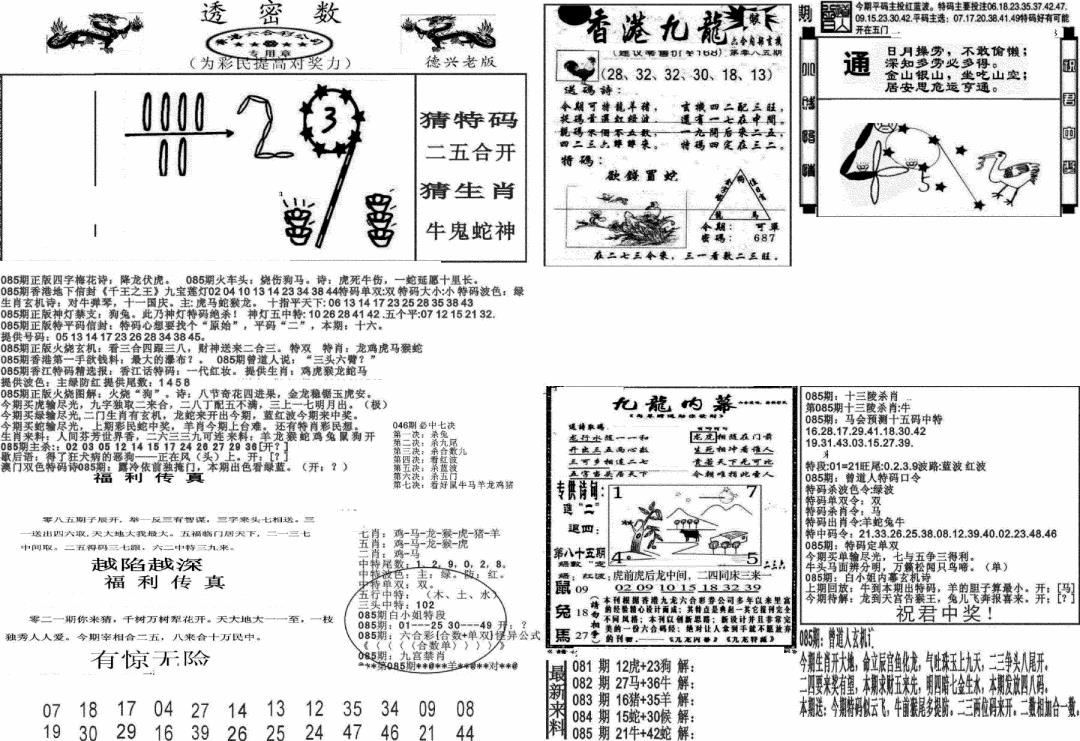 六合彩085期新透密数A(新)(黑白)