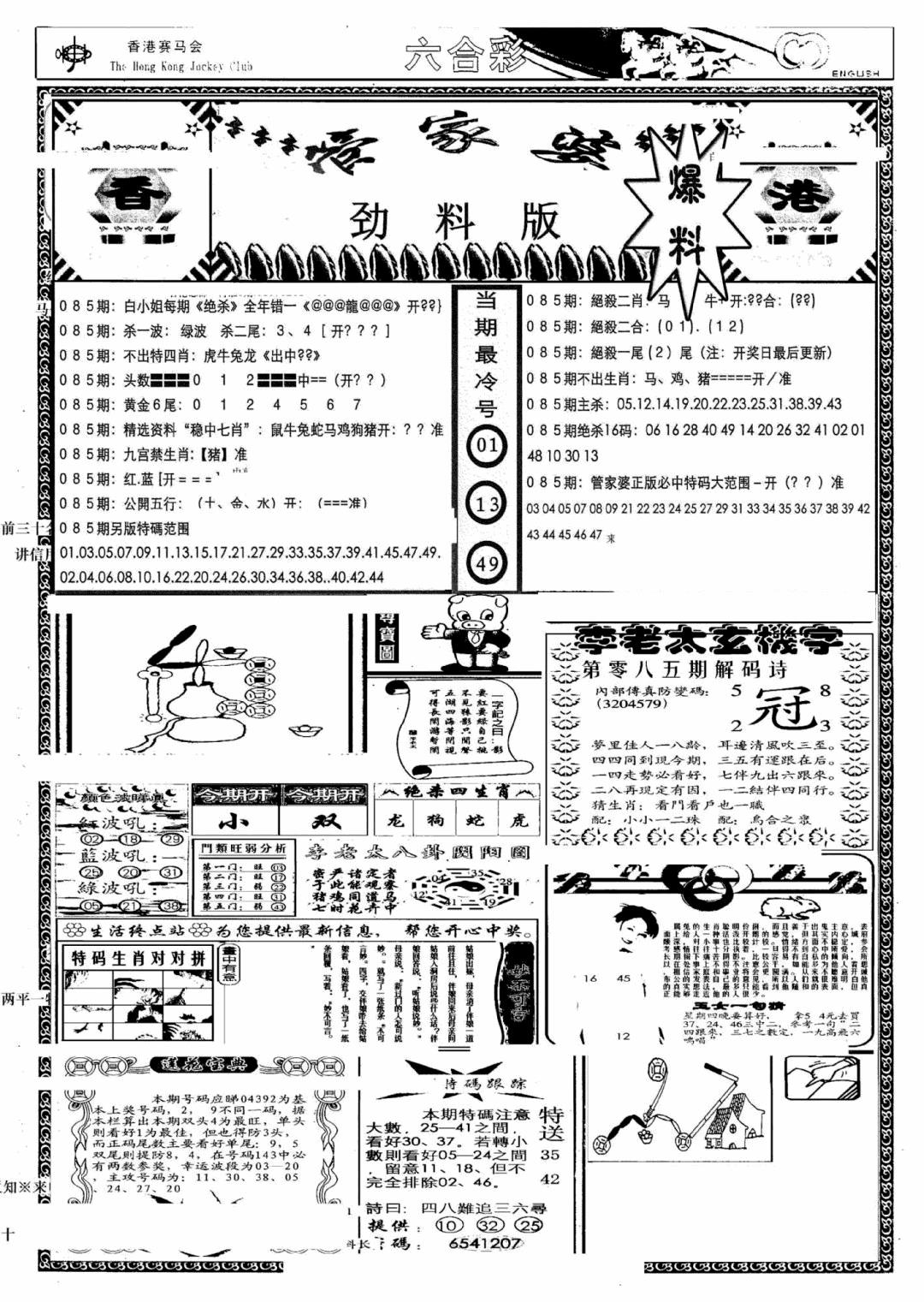 六合彩085期管家婆劲料版(另)(黑白)