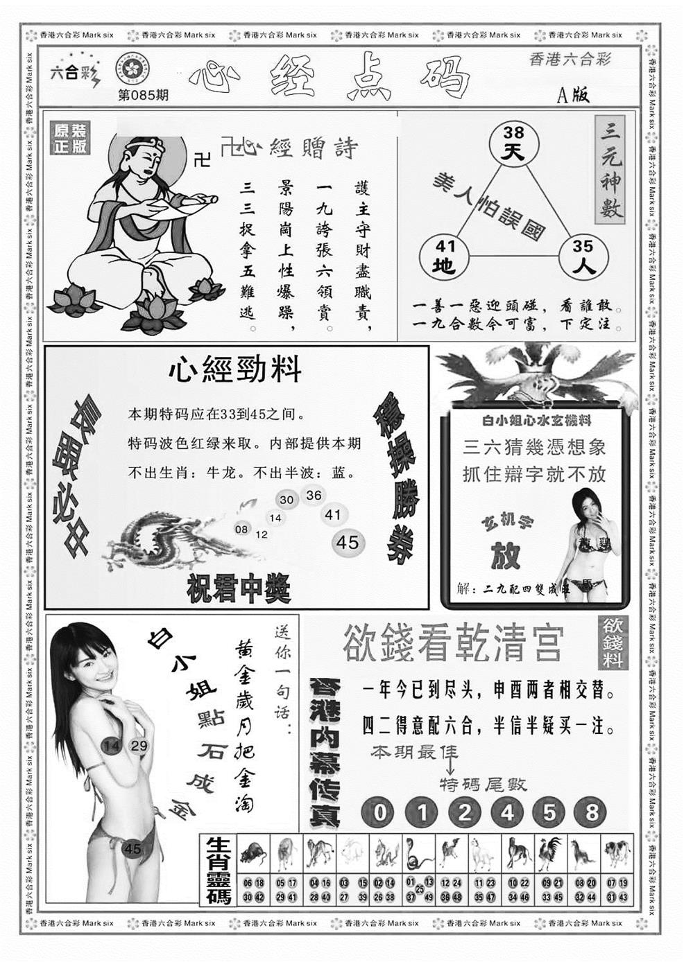 六合彩085期心经点码a（新图）(黑白)