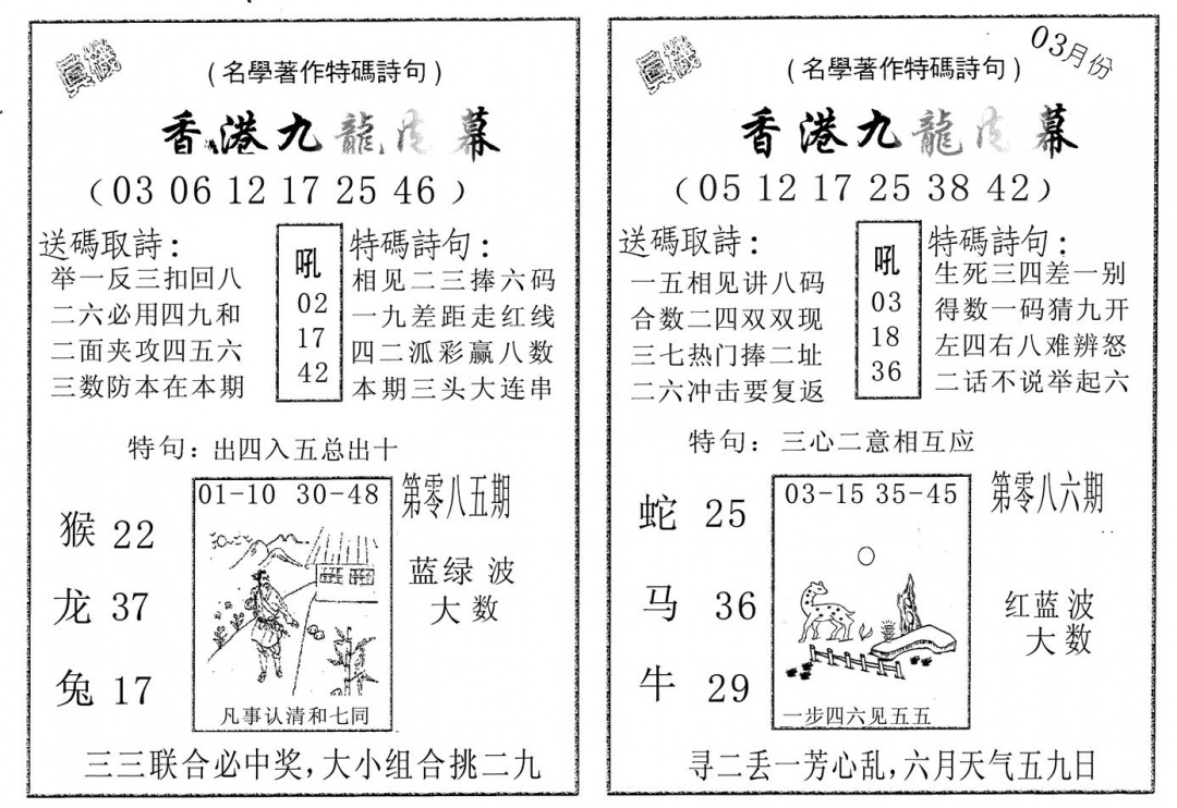 六合彩086期九龙内幕AB(黑白)