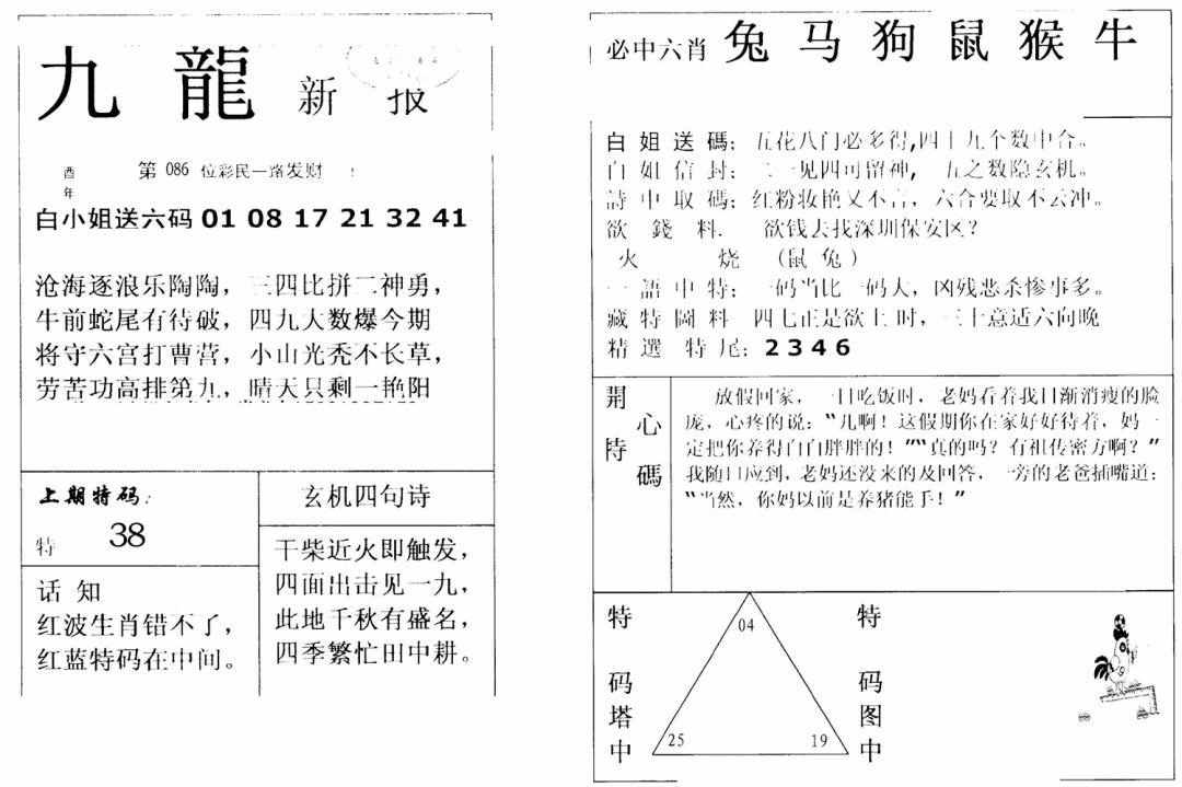 六合彩086期九龙新报(新)(黑白)