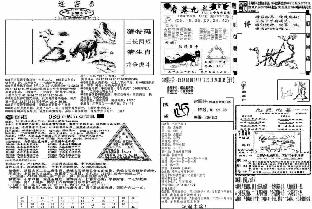 六合彩086期新透密数B(新)(黑白)