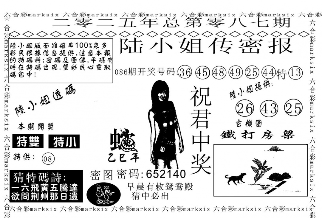 六合彩087期陆小姐传密A(黑白)