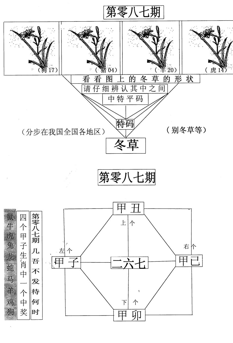 六合彩087期每期一花草(黑白)