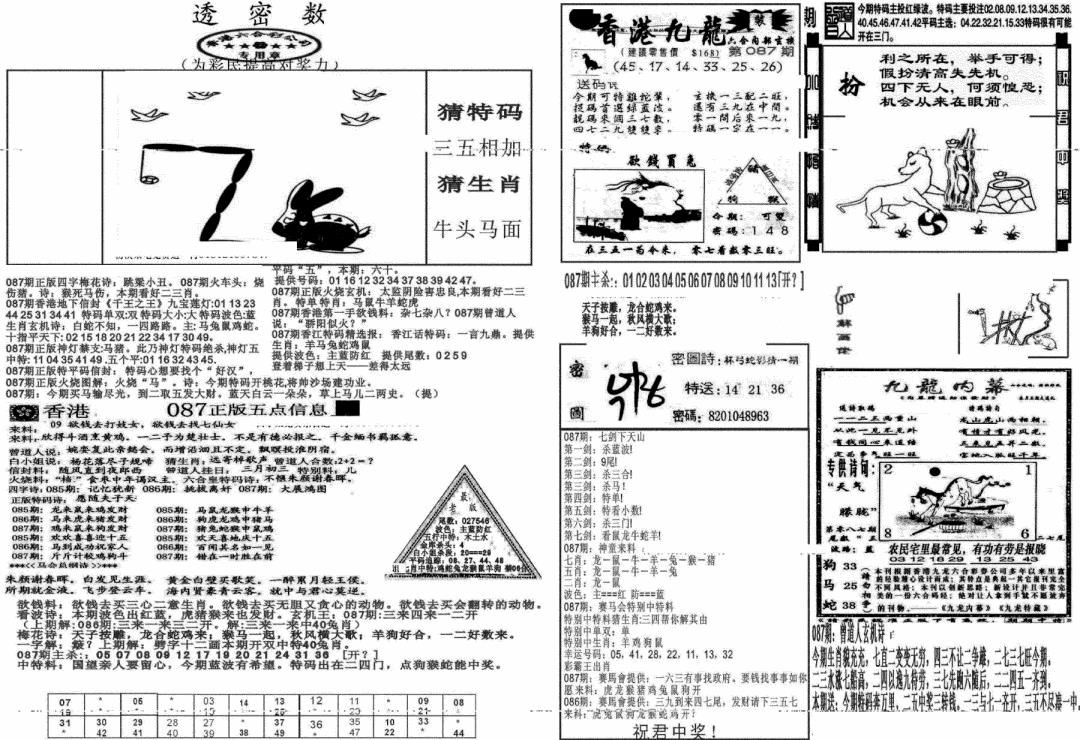 六合彩087期新透密数B(新)(黑白)