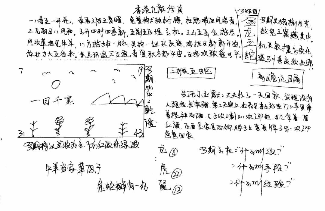 六合彩087期手写九龙内幕(早图)(黑白)