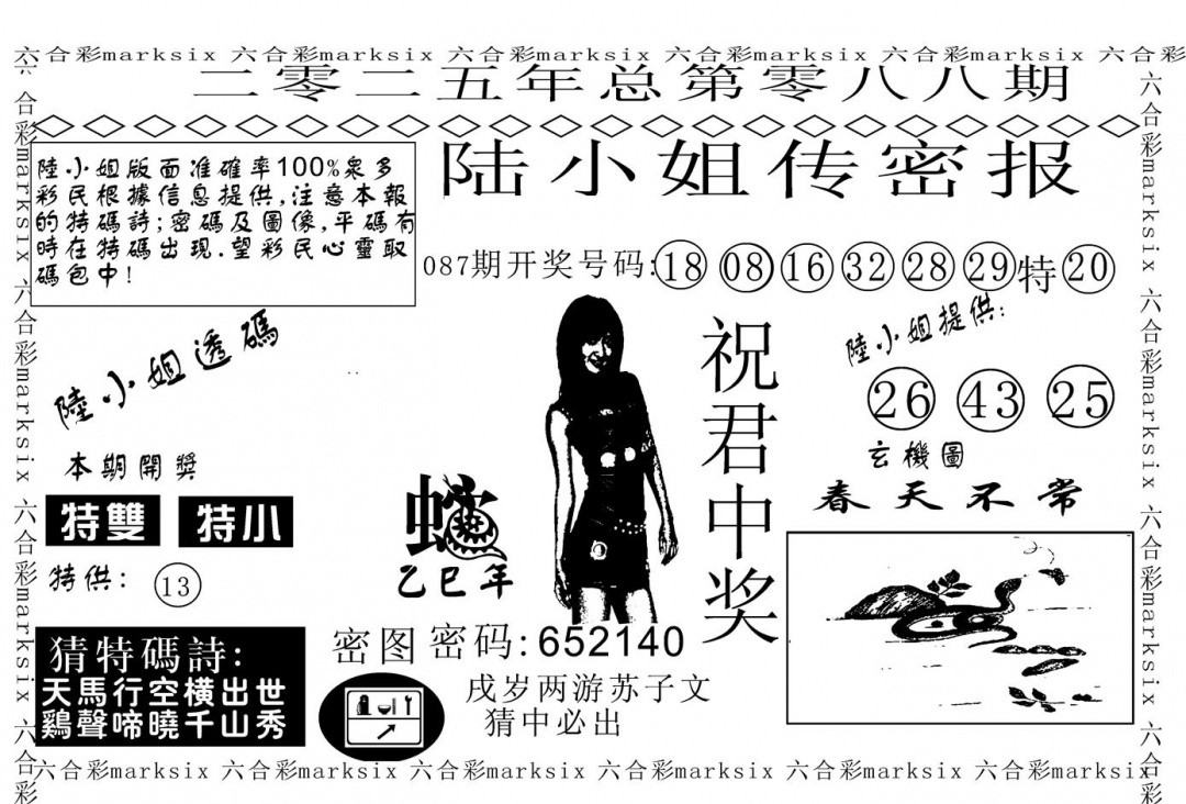 六合彩088期陆小姐传密A(黑白)