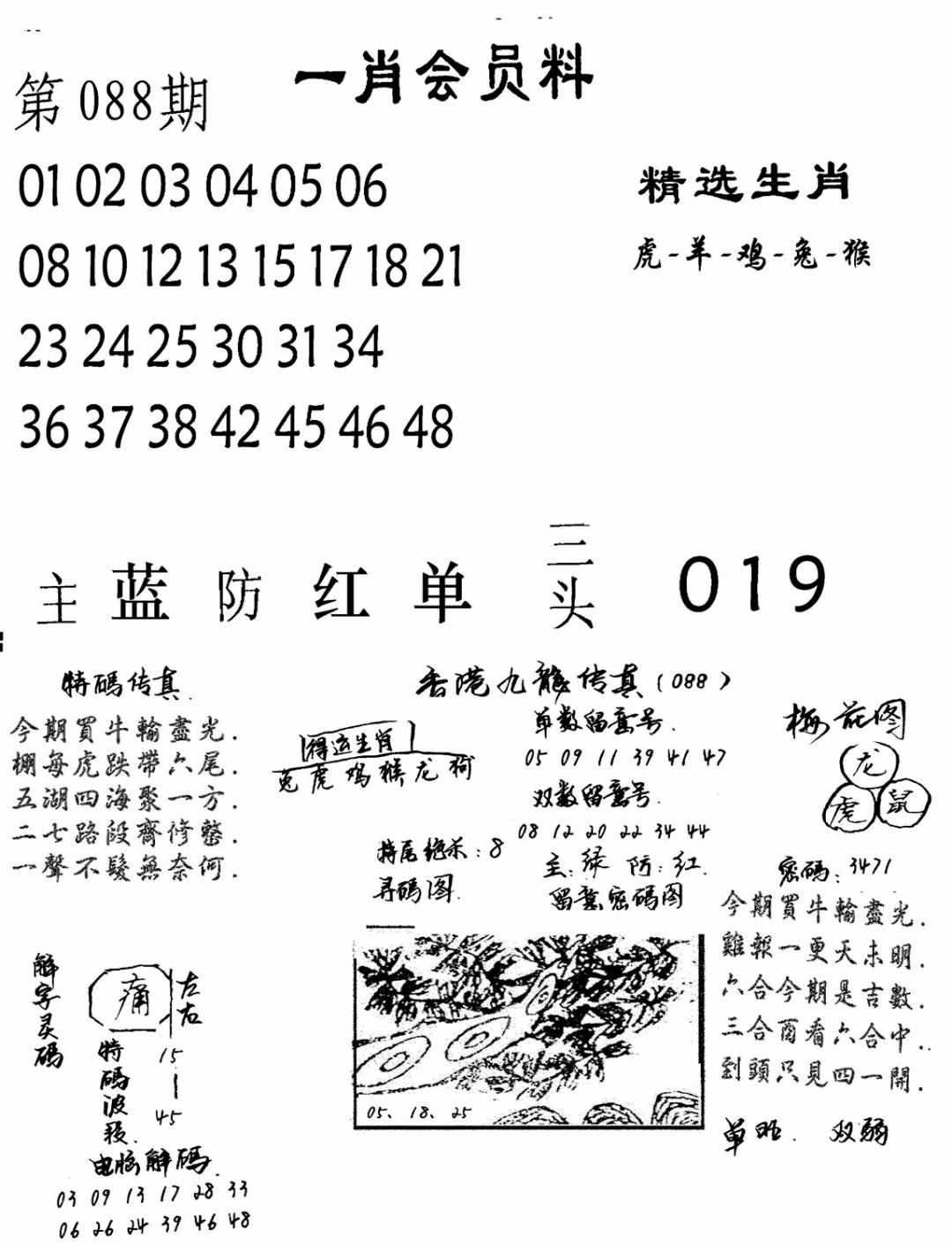 六合彩088期一肖会员料(黑白)