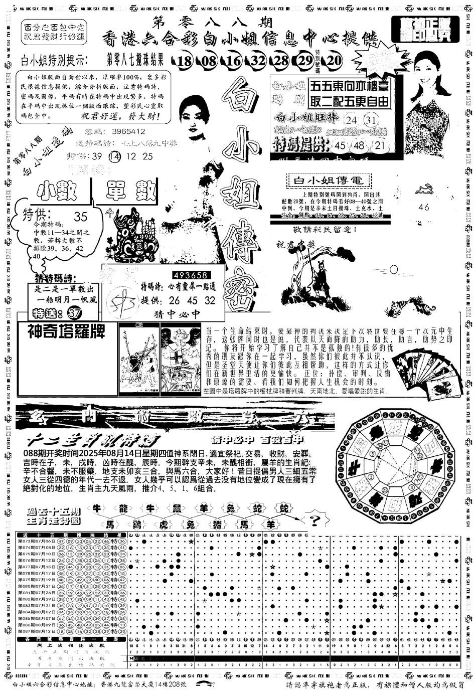 六合彩088期新版白小姐祺袍A(黑白)