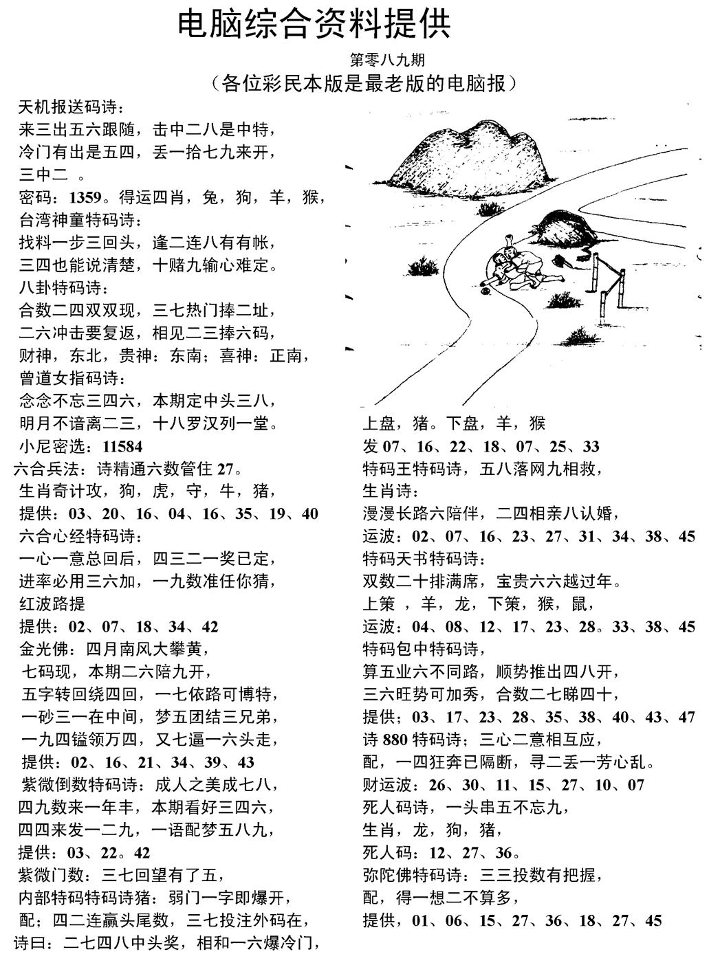六合彩089期当日电脑综合资料C(黑白)