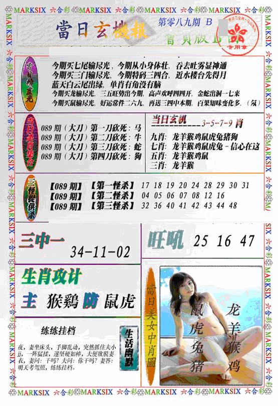 六合彩089期当日特码玄机B(新)(黑白)