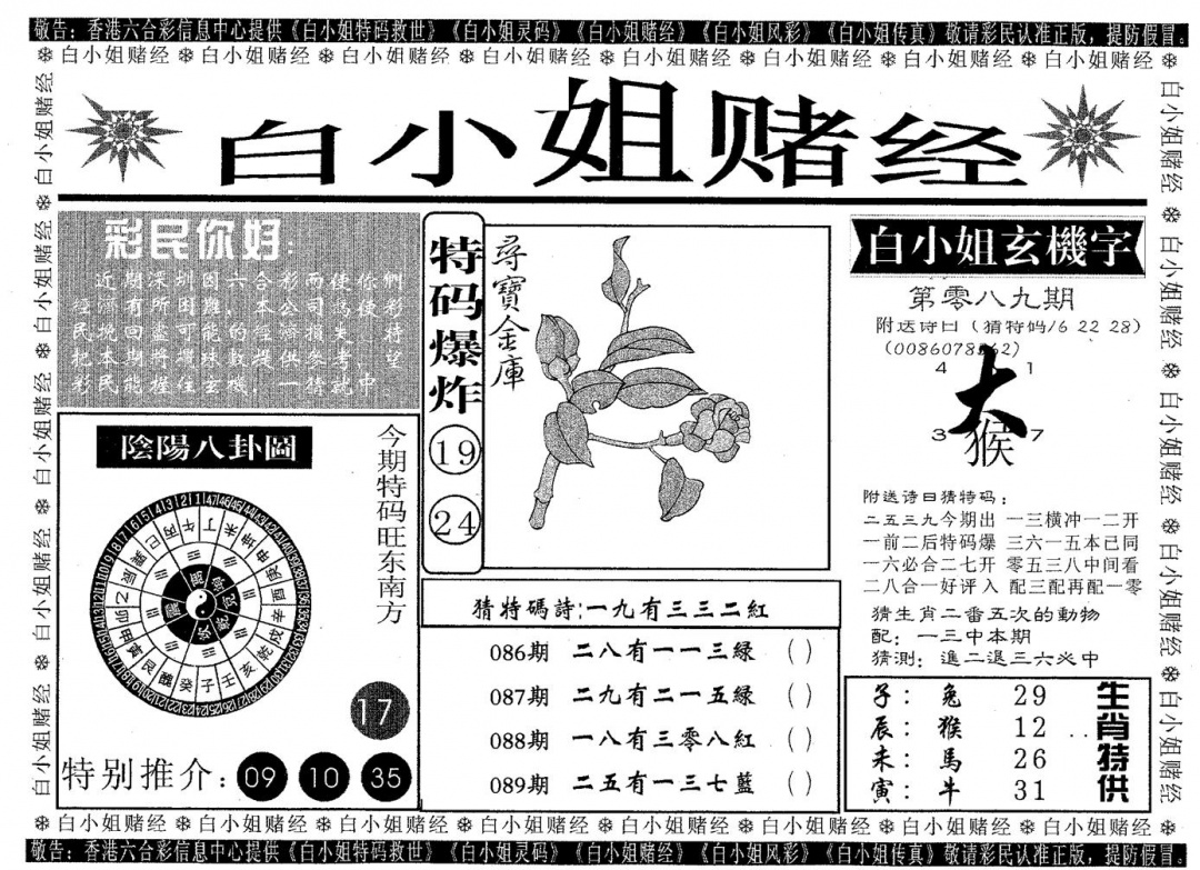 六合彩089期白姐赌经(黑白)