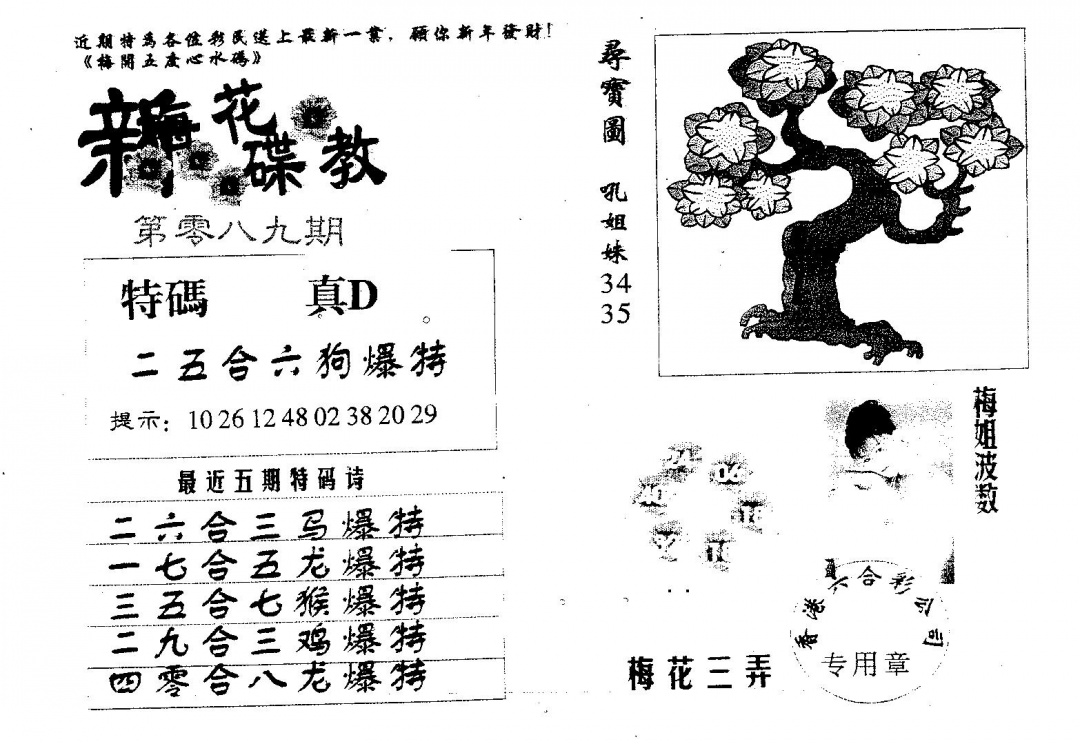 六合彩089期新花碟教(黑白)