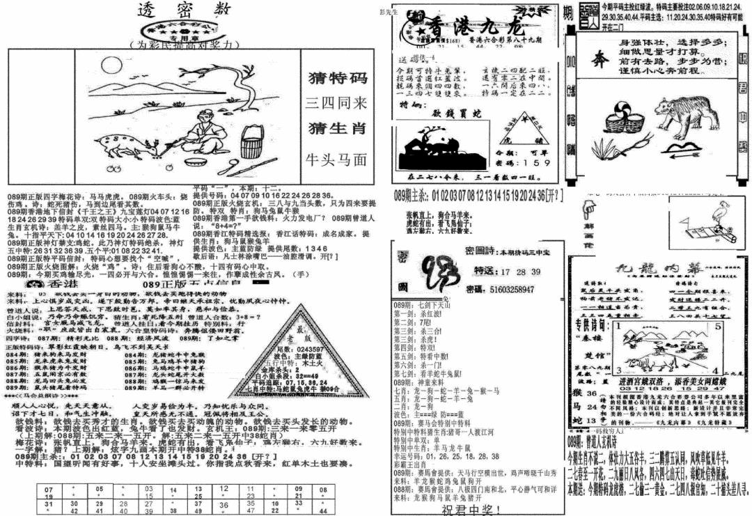 六合彩089期新透密数B(新)(黑白)