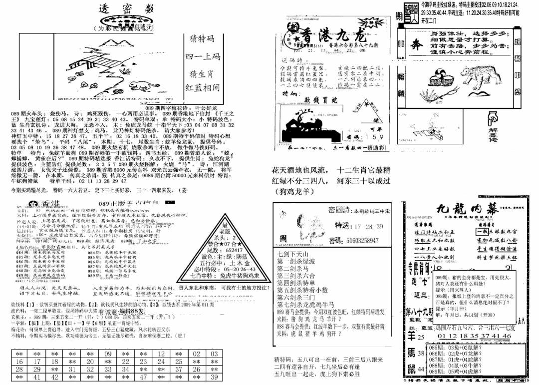 六合彩089期另新透密数B(新)(黑白)