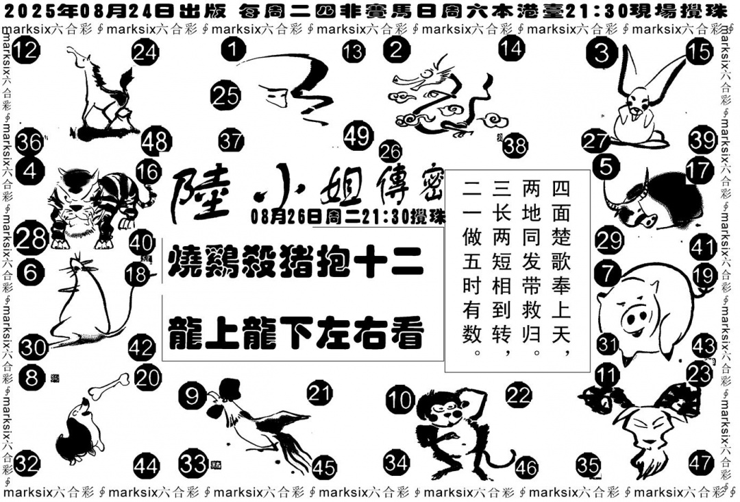 六合彩093期陆小姐传密B(黑白)