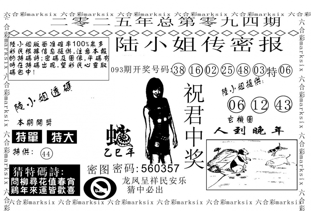 六合彩094期陆小姐传密A(黑白)