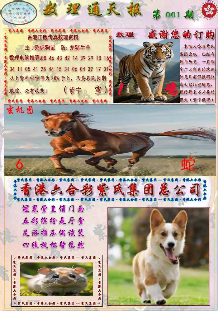 六合彩001期数通报