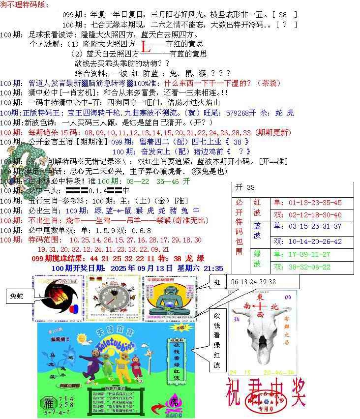 六合彩100期青龙五鬼B
