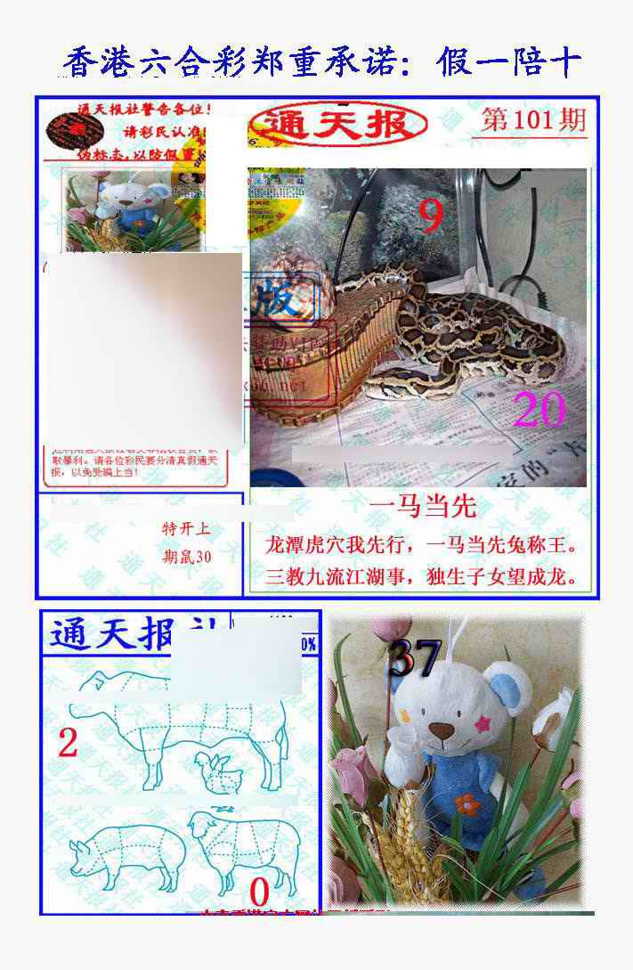 六合彩101期假一陪十通天报