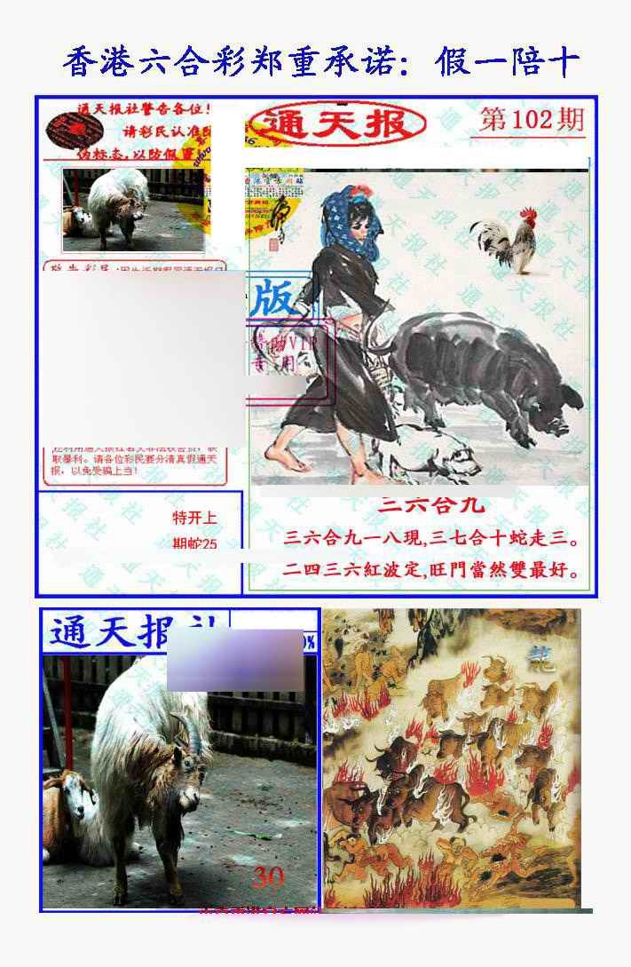 六合彩102期假一陪十通天报