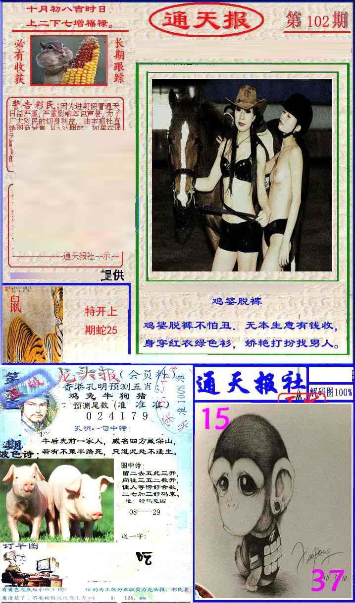 六合彩102期实力通天报