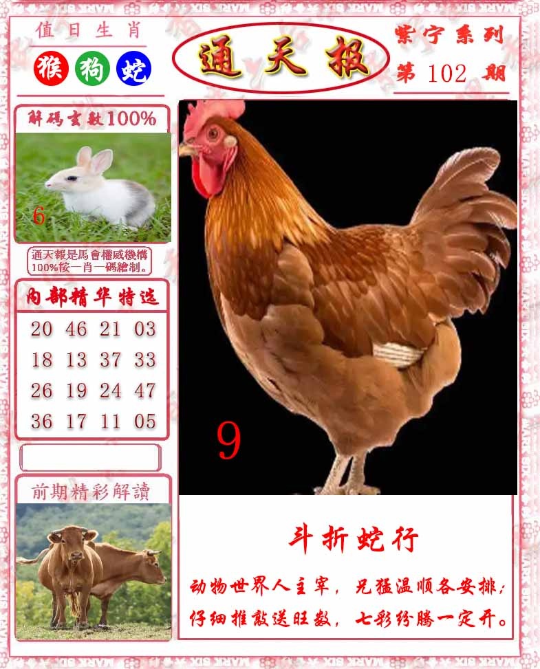六合彩102期救通报