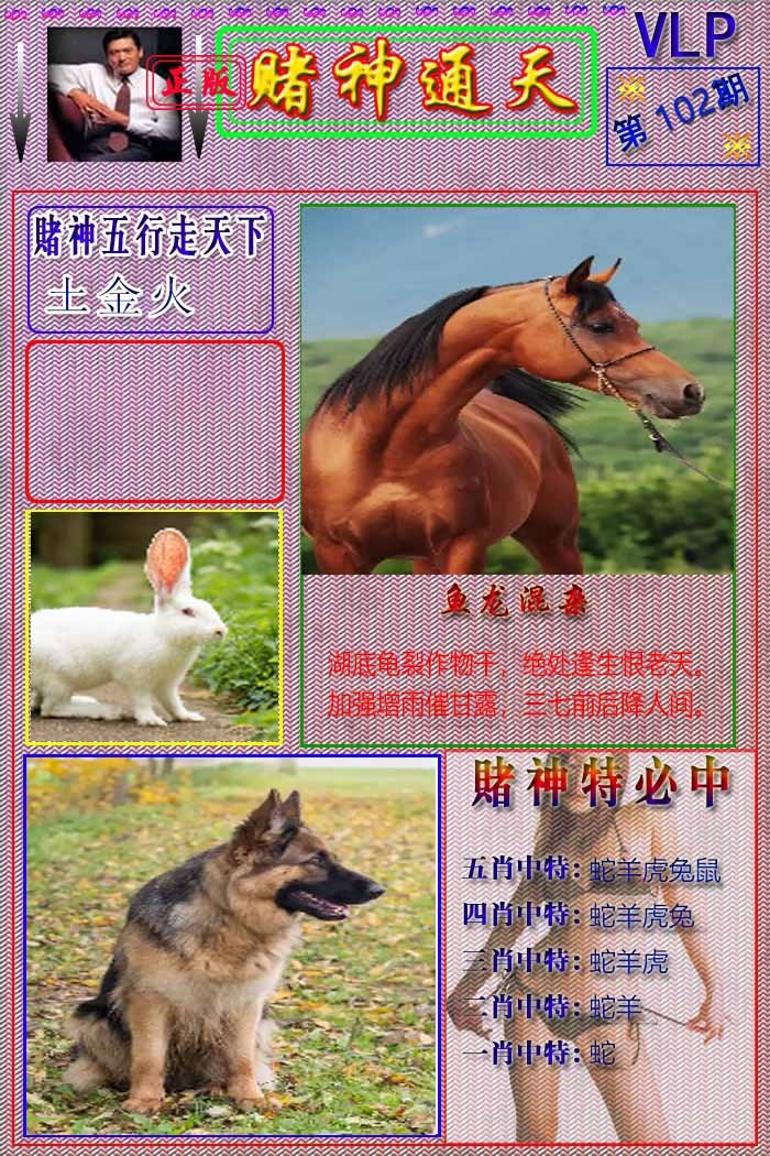 六合彩102期赌神通天报
