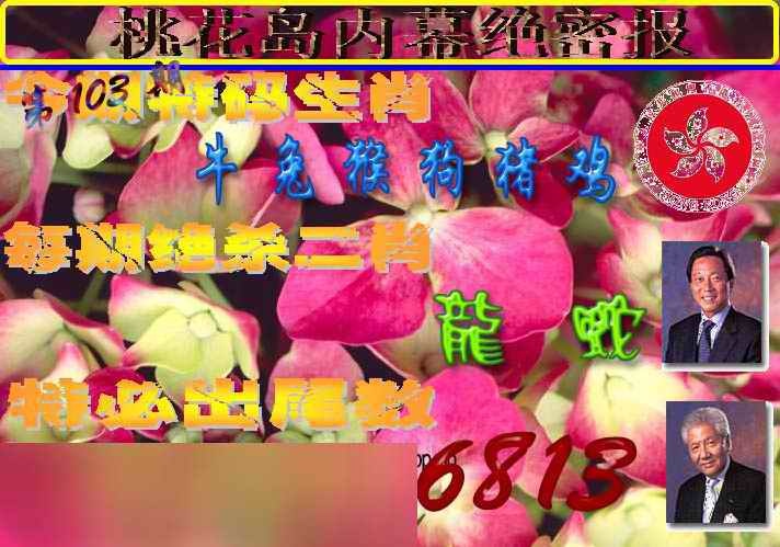 六合彩103期桃花岛内幕报