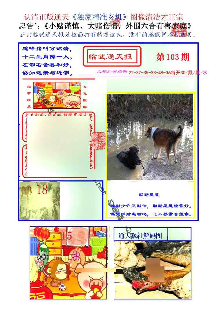 六合彩103期临武通天报