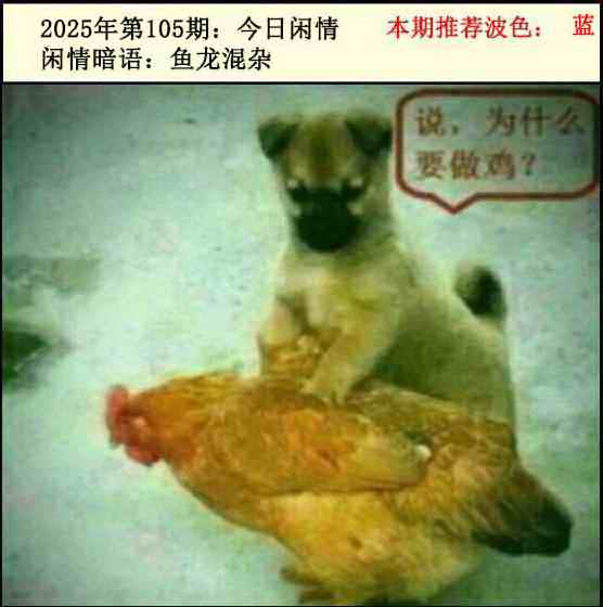 六合彩105期今日闲情2
