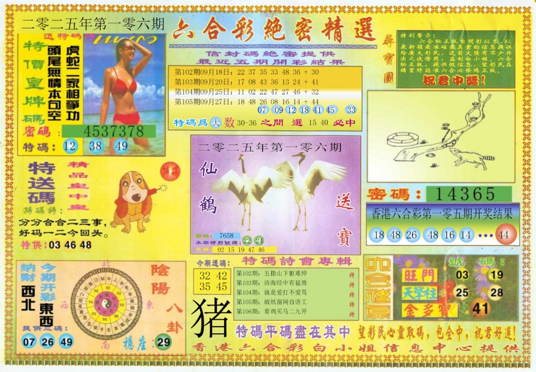 六合彩106期绝密精选A