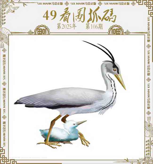 六合彩106期49看图抓码
