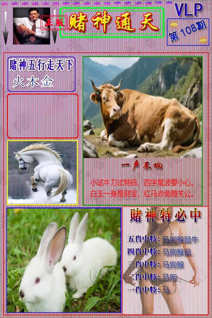 六合彩108期赌神通天报